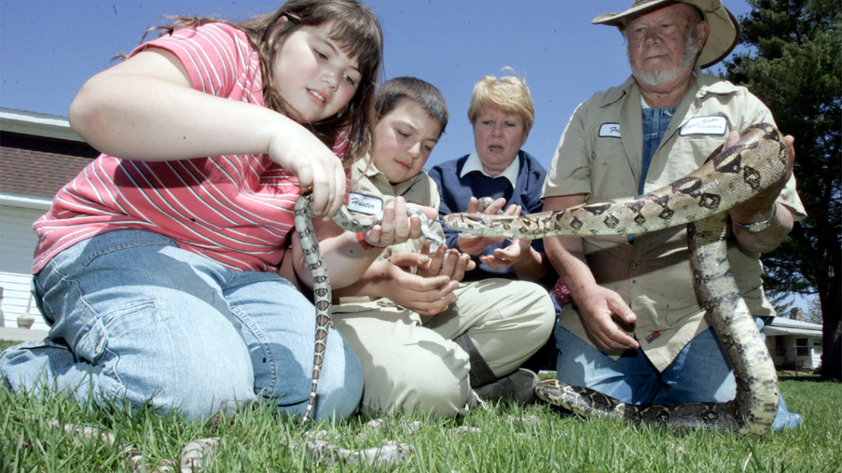 Bertha Boa _ Babes a group of people sitting in the grass
