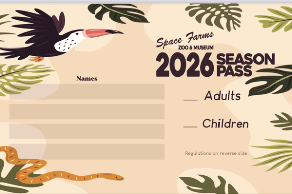 Zoo season pass with bird and snake illustrations, names area, and options for adult and child entries.