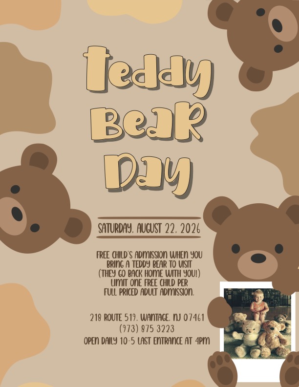 Teddy Bear Day flyer with bear illustrations and event details for August 22, 2026, offering free child's admission.